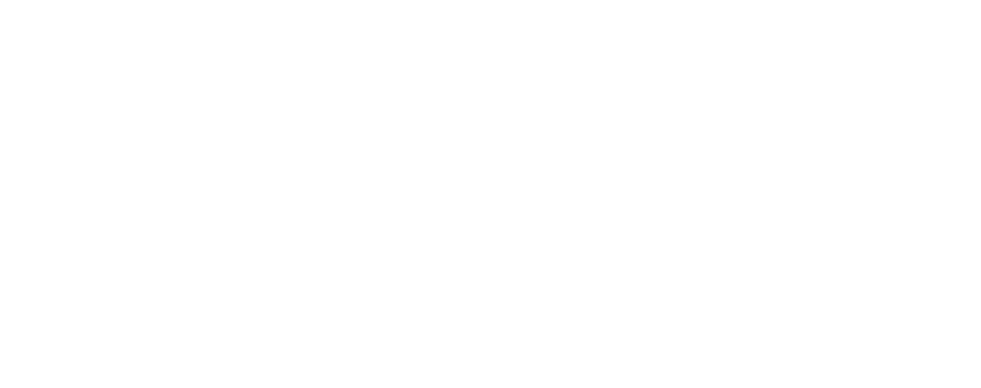 Logo Llevant Privilege